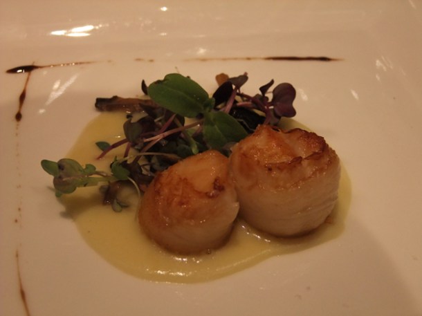 scallops in leek potato cream at babbo london