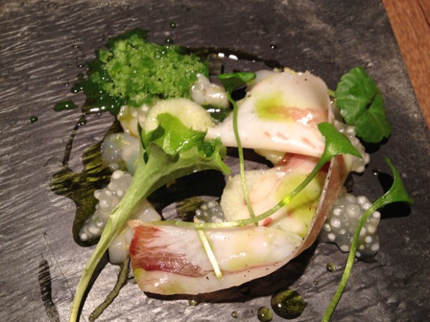 scallops and lardo crudo at tom aikens