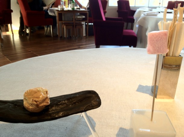 chestnut and sorbet at steirereck