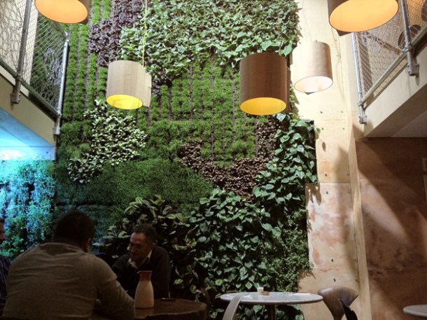 plant wall interior at karpo
