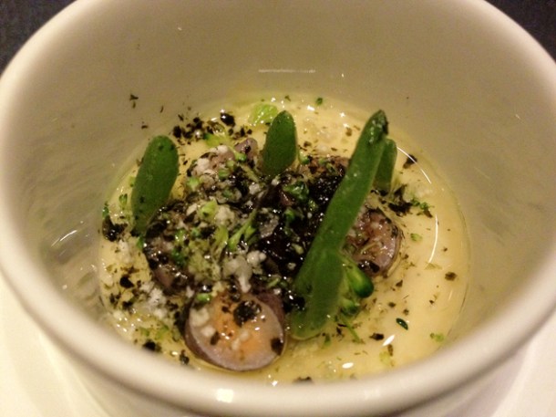 mushrooms in cauliflower cream at saüc