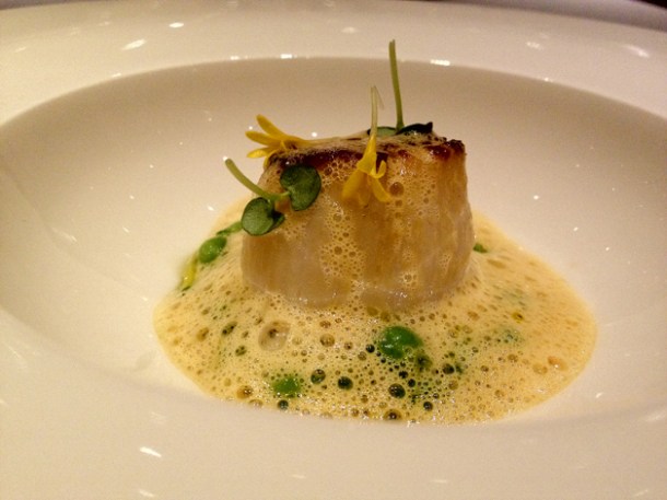 scallop with peas in saffron butter at saüc