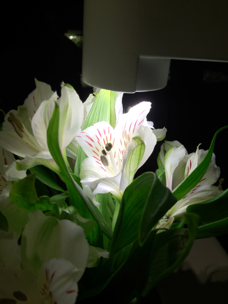 table flowers at moments mandarin oriental hotel barcelona