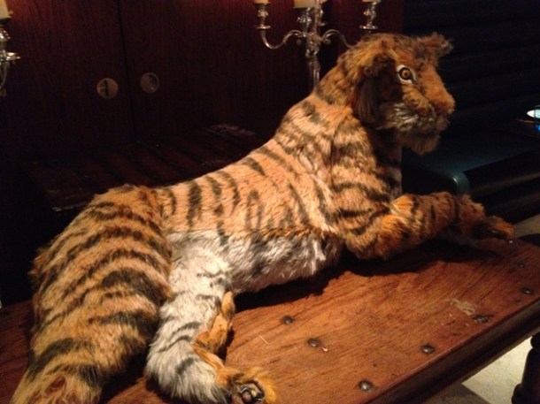 stuffed tiger at carom