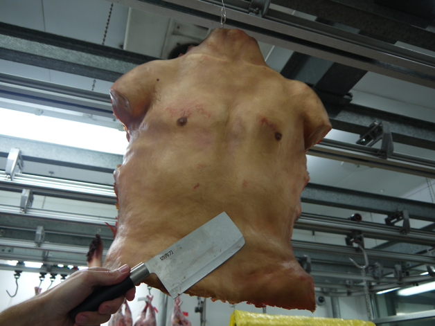 'human' torso from wesker & son