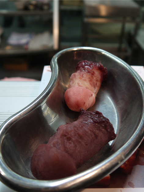 penis sausages from wesker and son pop up butchers at smithfield market