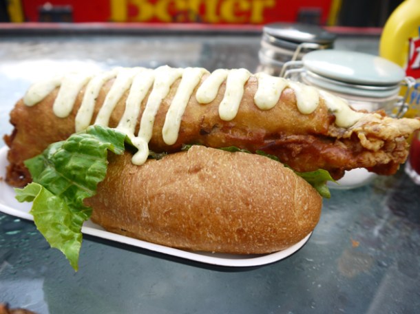 Dog and Fish at Dach and Sons dog and fish at dach and sons