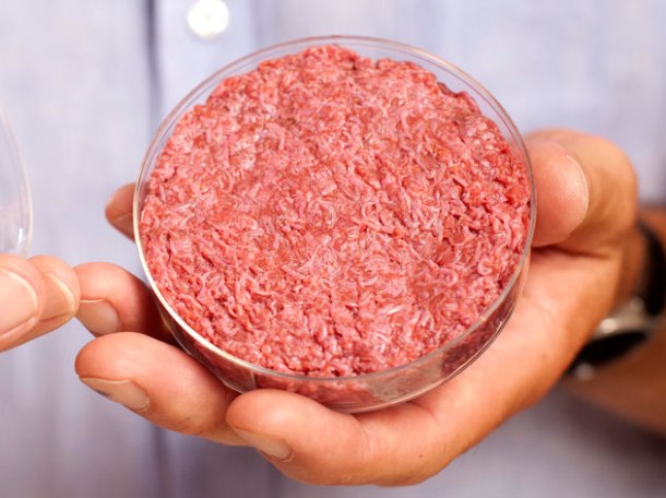 cultured beef artificial meat held by professor post of the university of maastricht