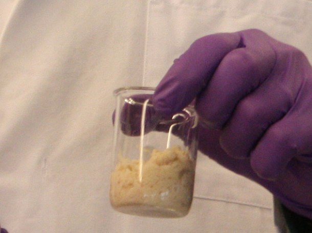 cultured beef in its natural state