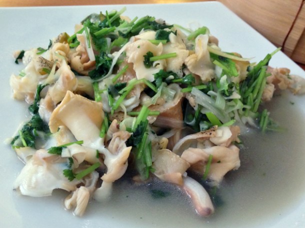 I don't usually conch my words.