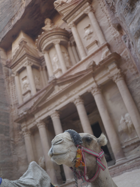 camel at petra treasury