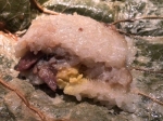 sticky rice at plum valley