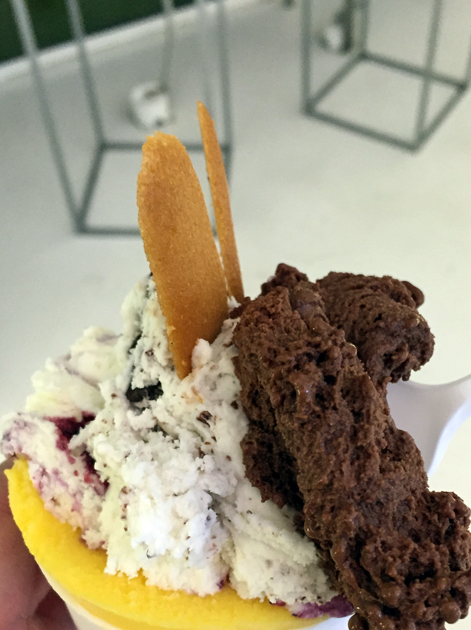 gelato from vice roma