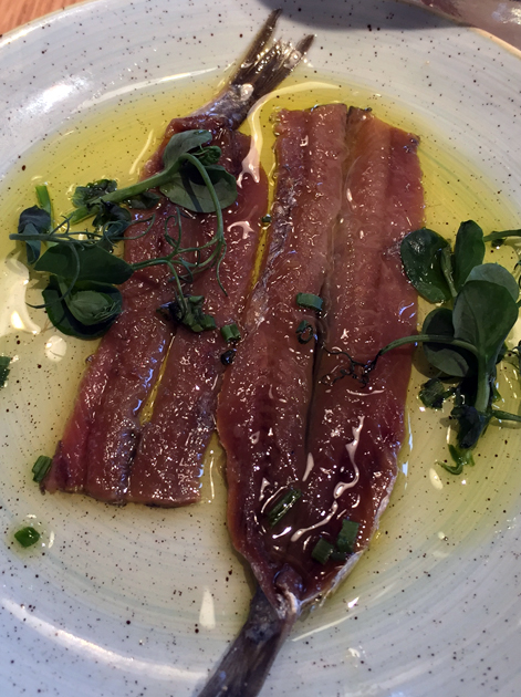 anchovies at morada brindisa asador