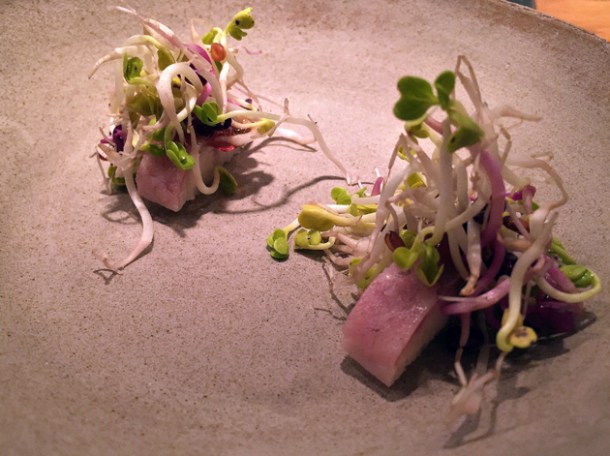 eel with radish at nobelhart and schmutzig