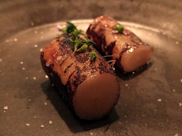 salsify at nobelhart and schmutzig