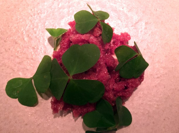 sour cherry granita with sorrel leaves and honey yeast cream at nobelhart and schmutzig