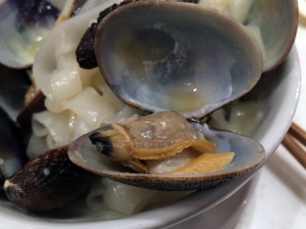 clams at shuang shuang