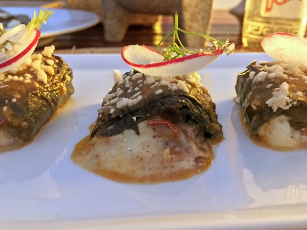 grasshopper quesadilla at casa oaxaca