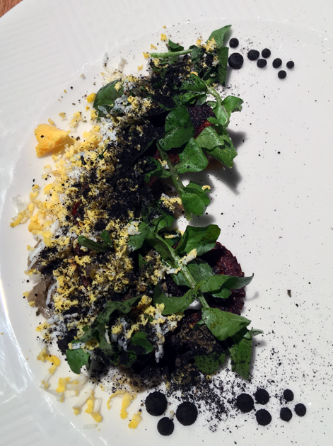 octopus at kaah siis