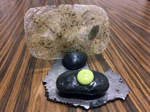 seaweed fossil at kuuk