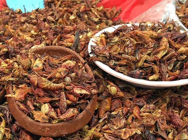 oaxaca market grasshoppers