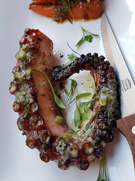 octopus at santo remedio
