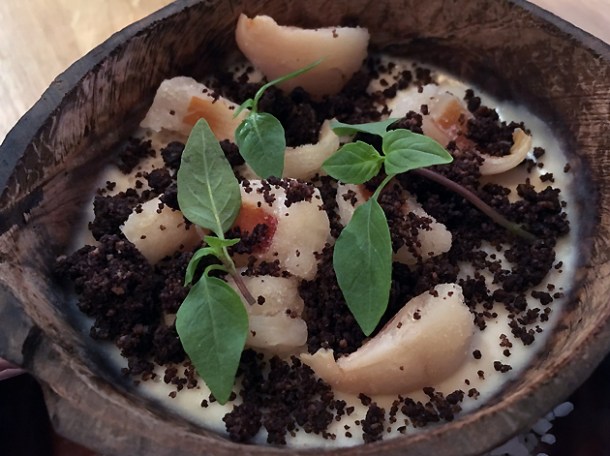 coconut panna cotta with lychees at foley's fitzrovia