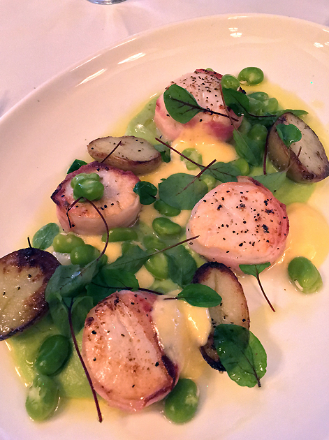 scallops pancetta at cafe monico