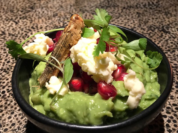 guacamole at ella canta