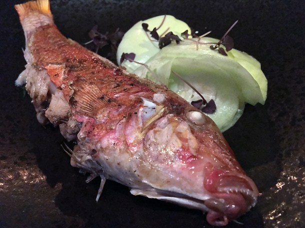 red mullet at st leonards