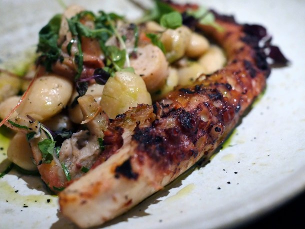 illustrative photo of the octopus at Nutshell Covent Garden