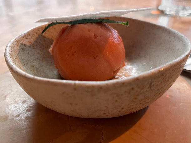 illustrative photo of the guava sorbet at Akara