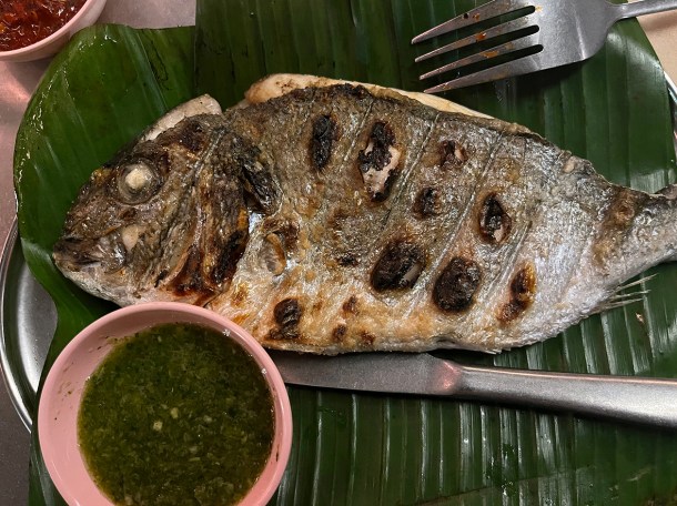 illustrative photo of the gilthead bream at Singburi Shoreditch